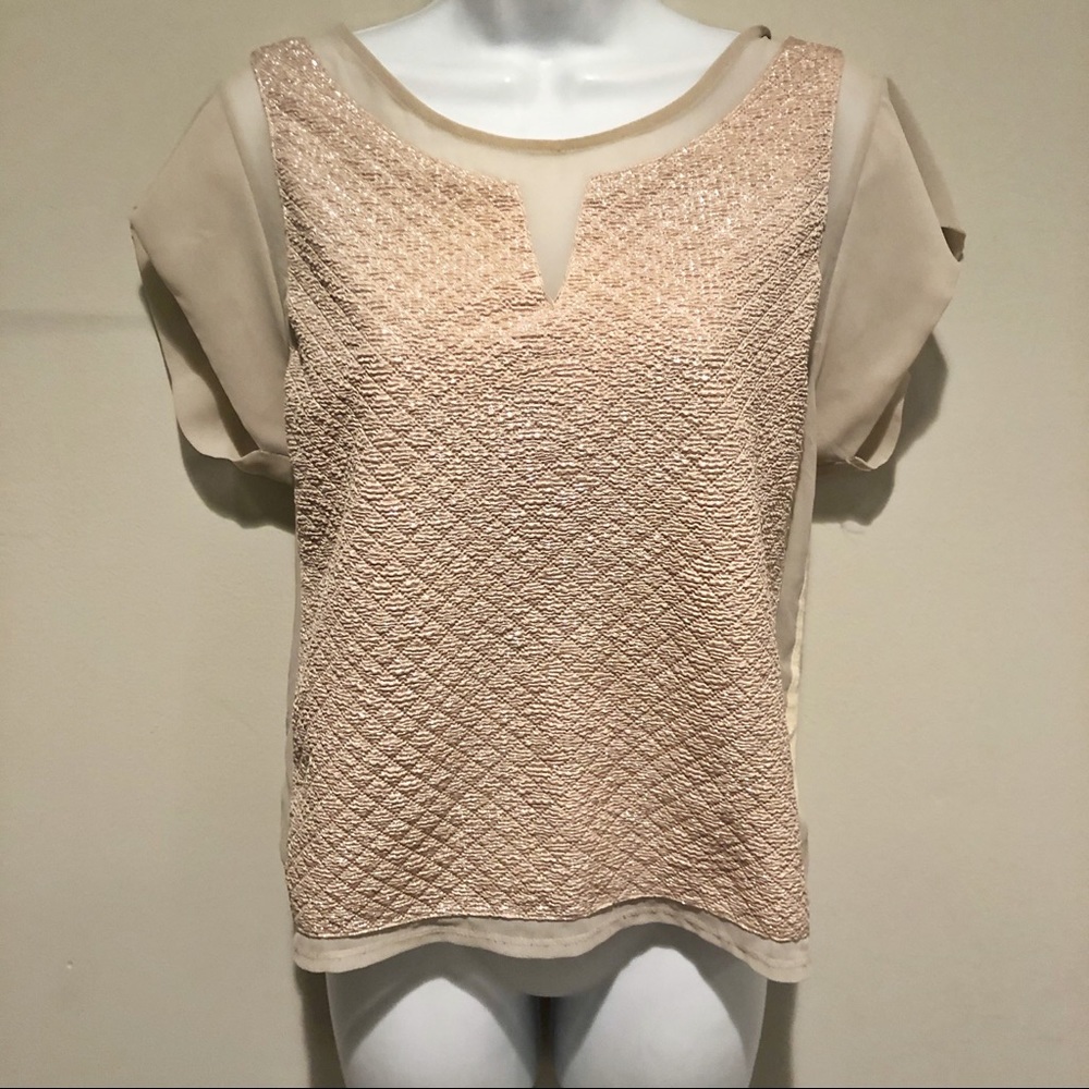 EXPRESS Blush Chiffon shirt with textured front